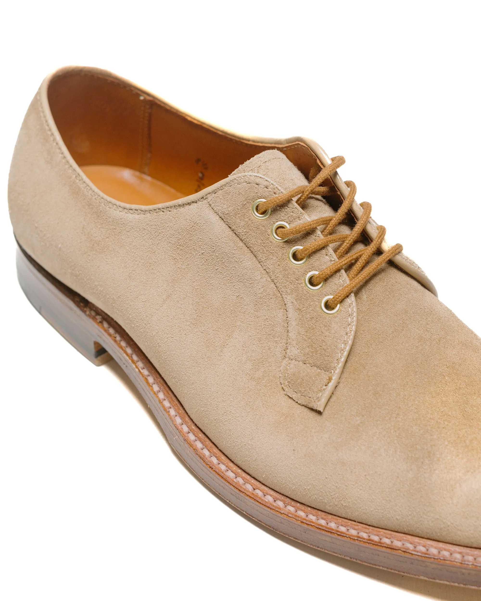 Alden Plain Toe Blucher Tan Suede G2401