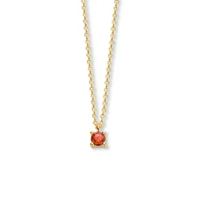 January Birthstone Necklace 14K Yellow Gold