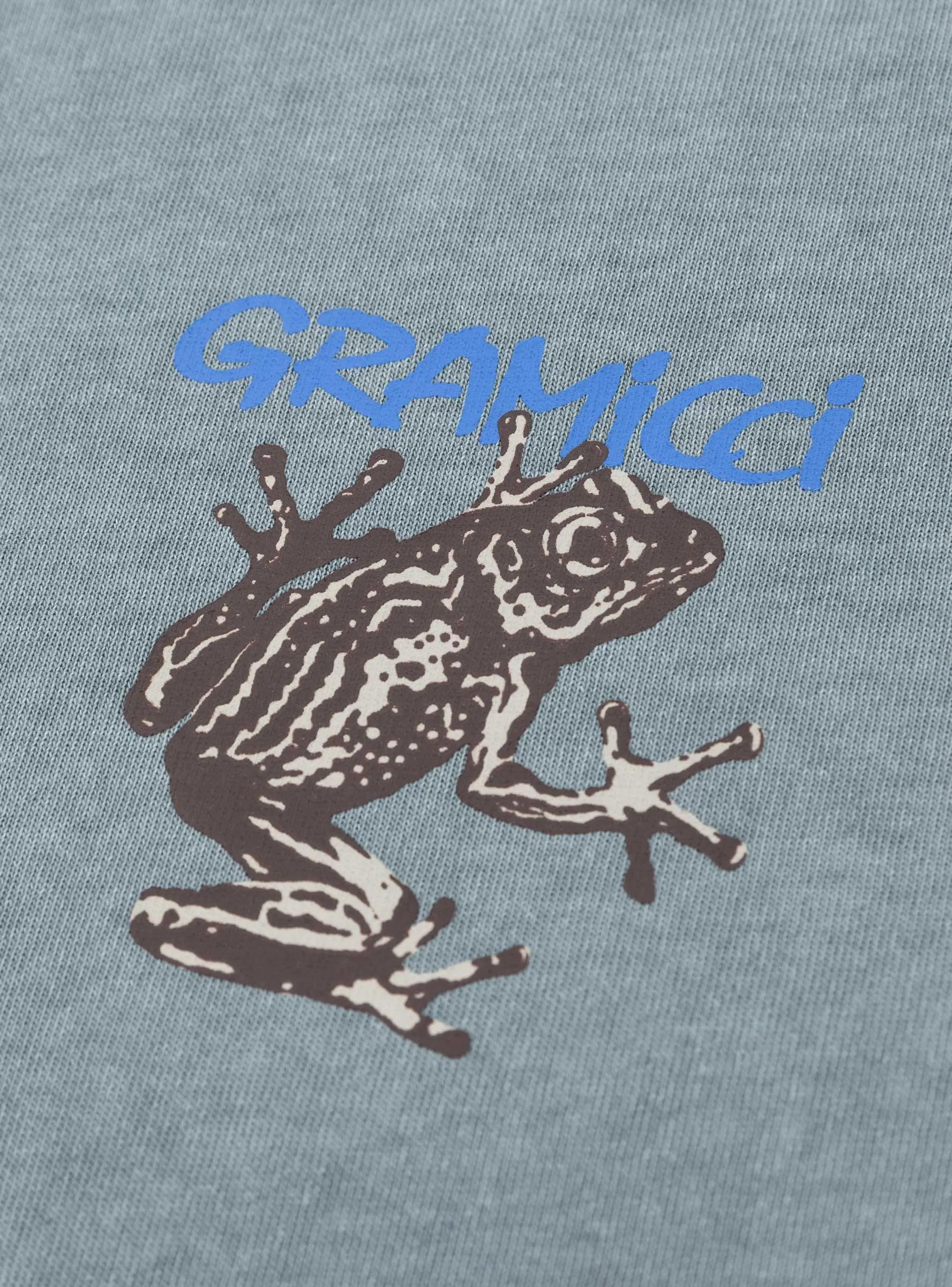 Sticky Frog T-shirt Slate Pigment